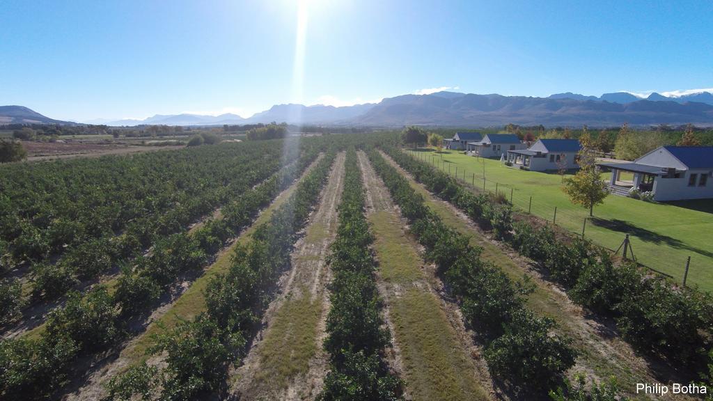 Paddabult Self Catering Cottages Paarl Exteriér fotografie